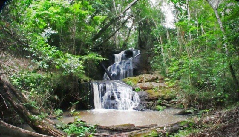 Karura Forest Explore254 Kenya Travel Website