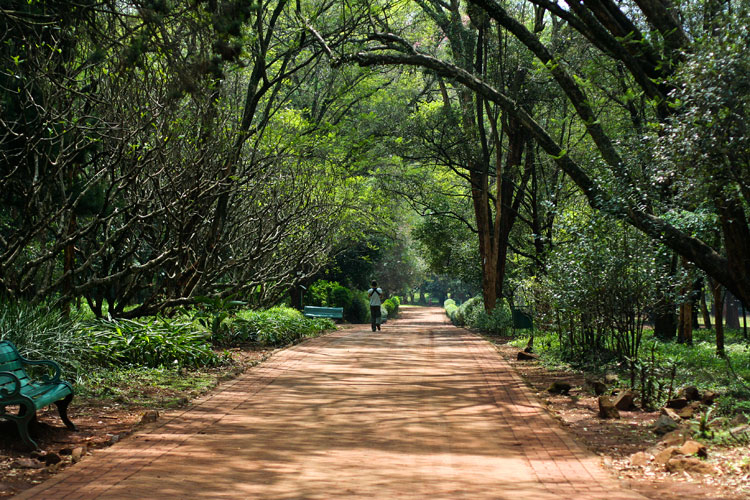 Nairobi Arboretum Gardens Kenya